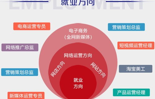今年电子商务专业怎么样