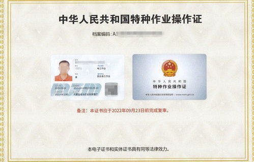 电子商务专业1x证书