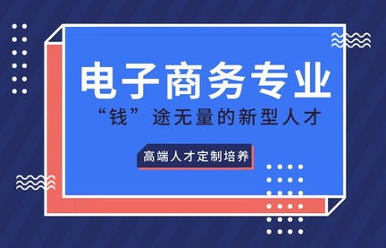 大二电子商务哪个专业好