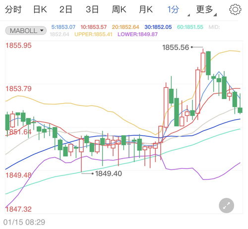 黄金与金饰价格剧震，市场波动背后的经济解析