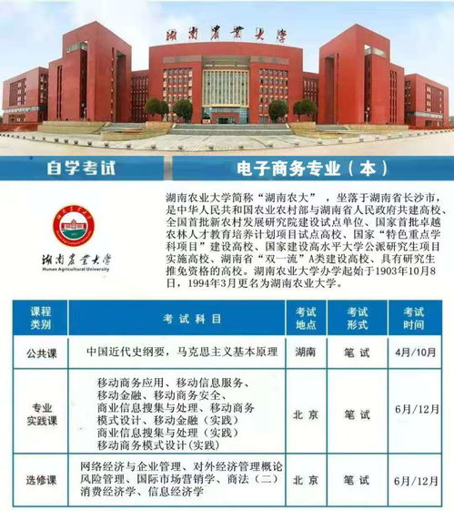 电子商务专业升本课多吗