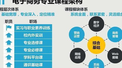 电子商务专业最新发展