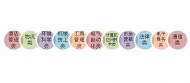 电子商务专业毕业生简历