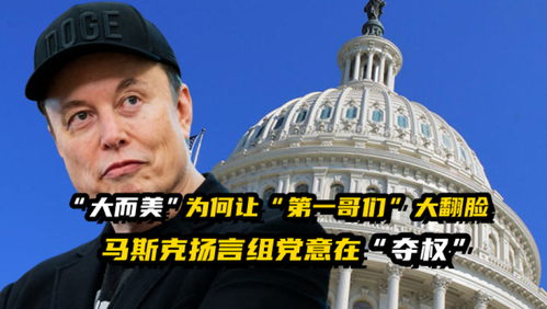 马斯克组建的“美国党”可能长啥样